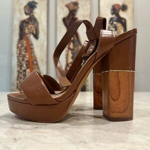 Aldo Brown Platform Sandals with Chunky Heel